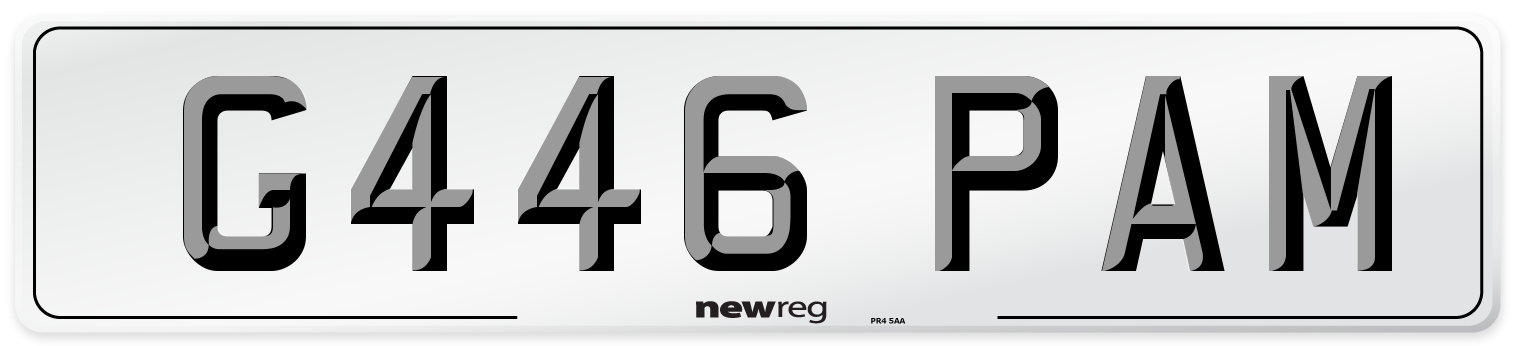 G446 PAM Number Plate from New Reg